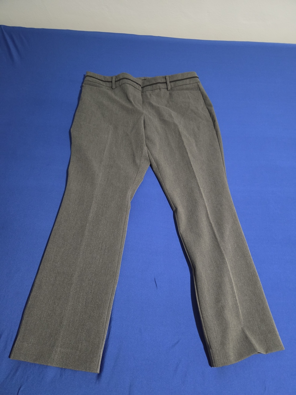 New York & Company Gray  Pants